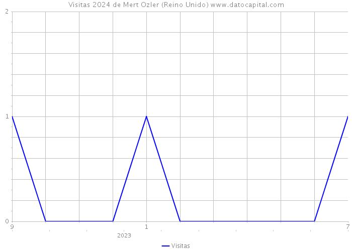 Visitas 2024 de Mert Ozler (Reino Unido) 