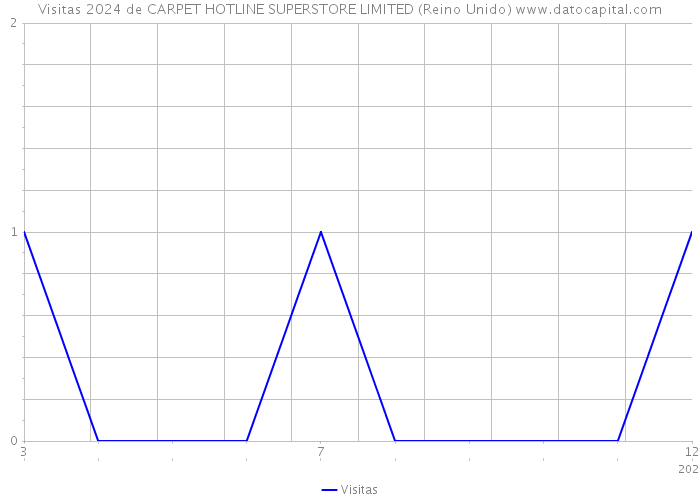 Visitas 2024 de CARPET HOTLINE SUPERSTORE LIMITED (Reino Unido) 