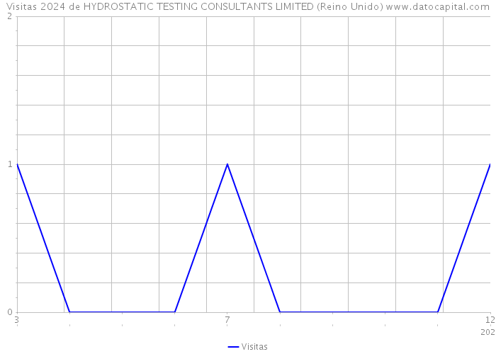 Visitas 2024 de HYDROSTATIC TESTING CONSULTANTS LIMITED (Reino Unido) 