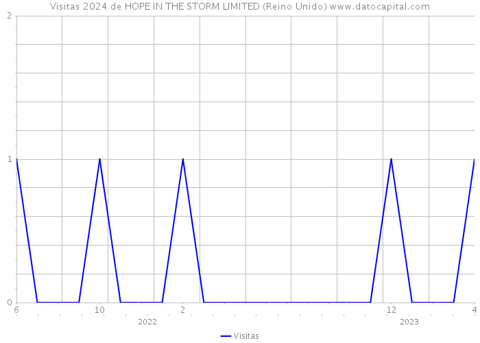 Visitas 2024 de HOPE IN THE STORM LIMITED (Reino Unido) 