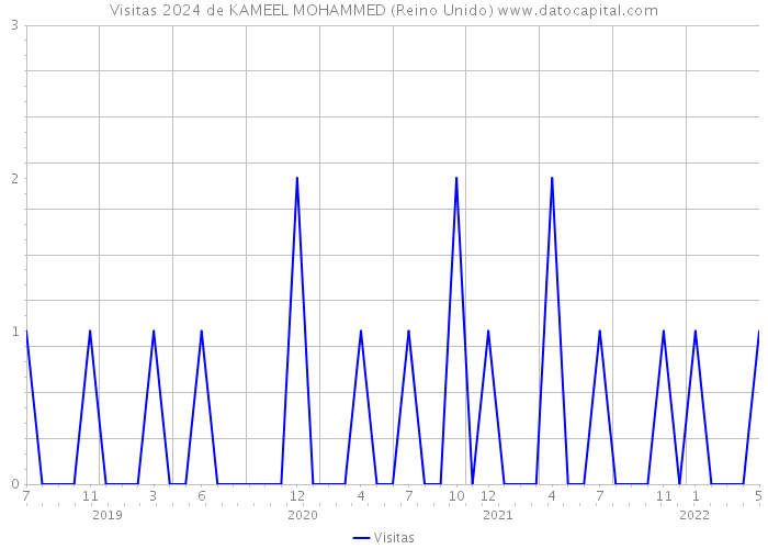 Visitas 2024 de KAMEEL MOHAMMED (Reino Unido) 