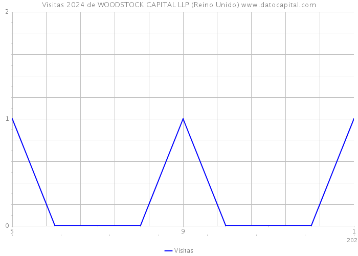 Visitas 2024 de WOODSTOCK CAPITAL LLP (Reino Unido) 