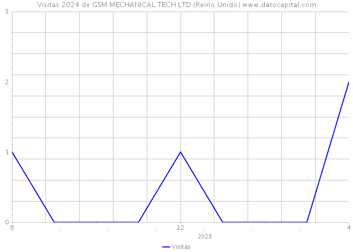 Visitas 2024 de GSM MECHANICAL TECH LTD (Reino Unido) 