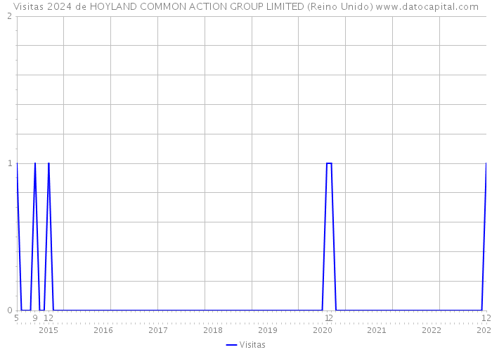 Visitas 2024 de HOYLAND COMMON ACTION GROUP LIMITED (Reino Unido) 