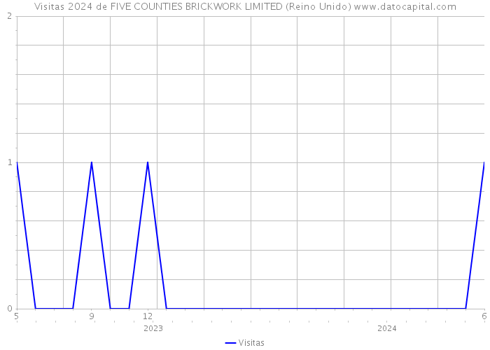 Visitas 2024 de FIVE COUNTIES BRICKWORK LIMITED (Reino Unido) 