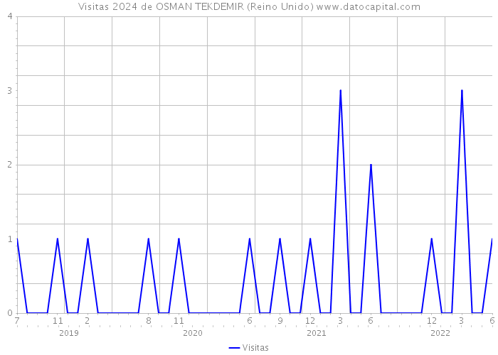 Visitas 2024 de OSMAN TEKDEMIR (Reino Unido) 