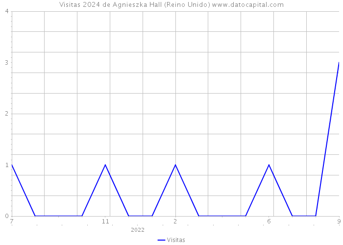 Visitas 2024 de Agnieszka Hall (Reino Unido) 