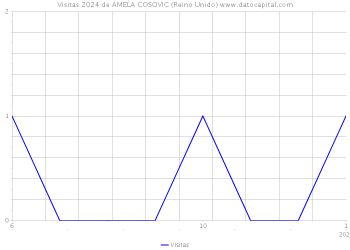 Visitas 2024 de AMELA COSOVIC (Reino Unido) 