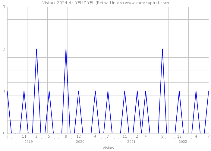 Visitas 2024 de YELIZ YEL (Reino Unido) 