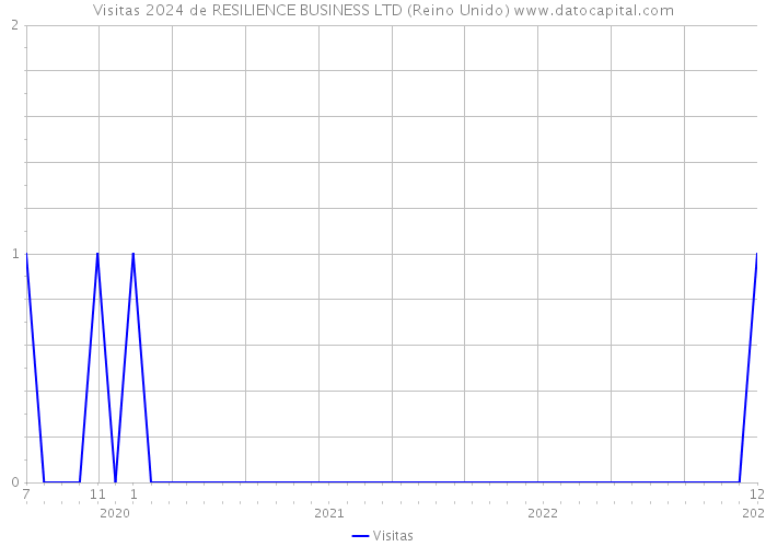 Visitas 2024 de RESILIENCE BUSINESS LTD (Reino Unido) 