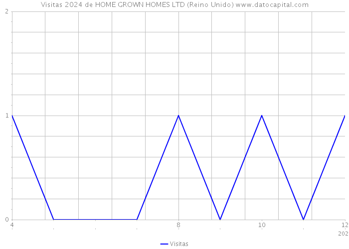 Visitas 2024 de HOME GROWN HOMES LTD (Reino Unido) 