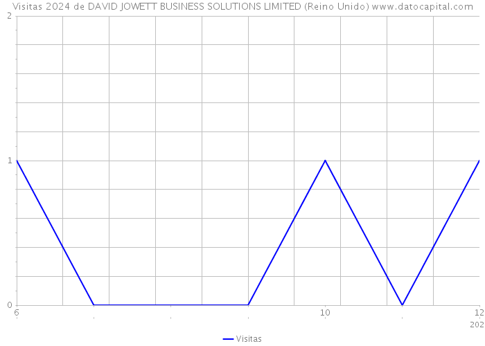 Visitas 2024 de DAVID JOWETT BUSINESS SOLUTIONS LIMITED (Reino Unido) 