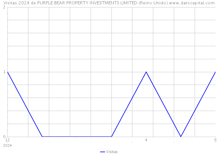 Visitas 2024 de PURPLE BEAR PROPERTY INVESTMENTS LIMITED (Reino Unido) 