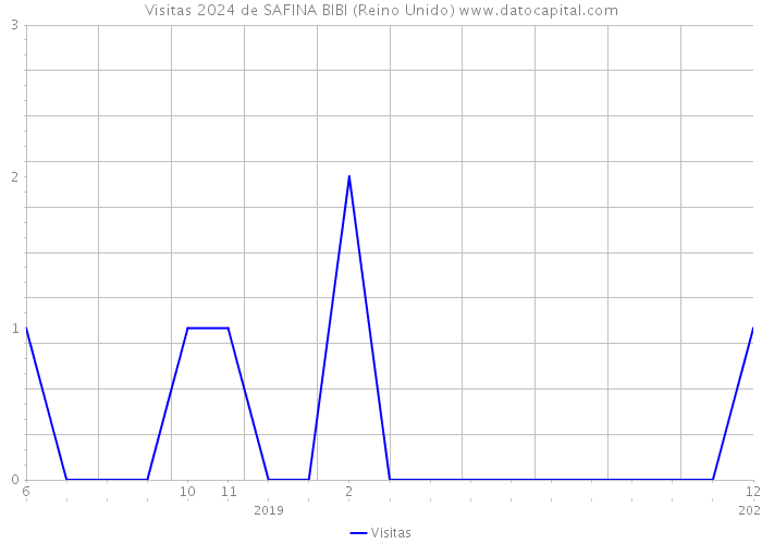 Visitas 2024 de SAFINA BIBI (Reino Unido) 