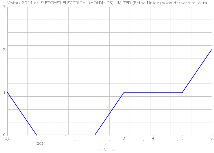 Visitas 2024 de FLETCHER ELECTRICAL (HOLDINGS) LIMITED (Reino Unido) 