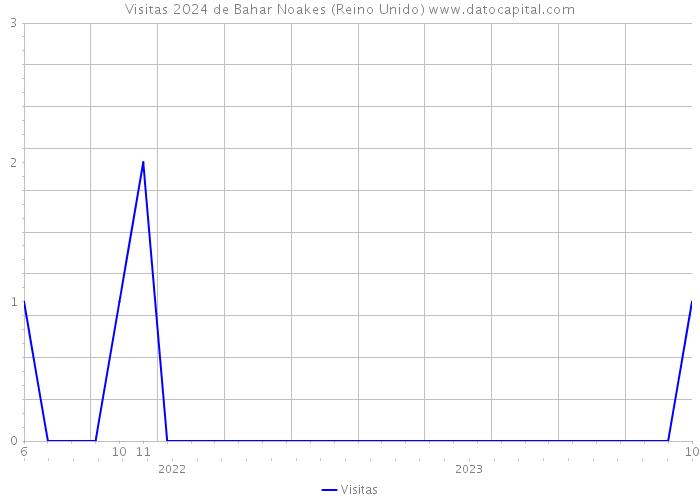 Visitas 2024 de Bahar Noakes (Reino Unido) 