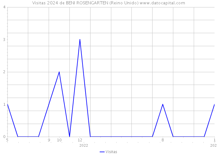 Visitas 2024 de BENI ROSENGARTEN (Reino Unido) 