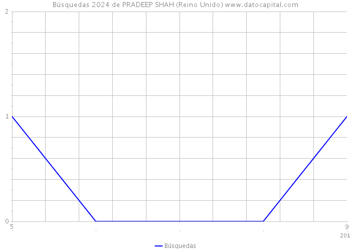 Búsquedas 2024 de PRADEEP SHAH (Reino Unido) 