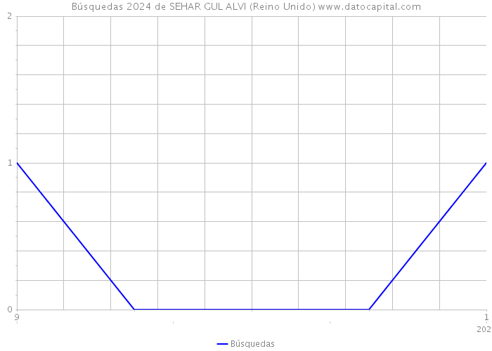 Búsquedas 2024 de SEHAR GUL ALVI (Reino Unido) 