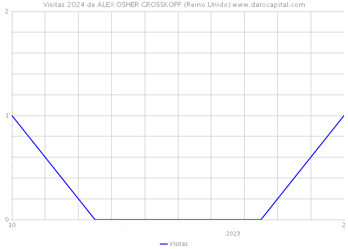 Visitas 2024 de ALEX OSHER GROSSKOPF (Reino Unido) 