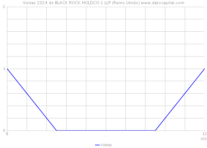 Visitas 2024 de BLACK ROCK HOLDCO 1 LLP (Reino Unido) 