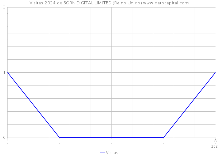 Visitas 2024 de BORN DIGITAL LIMITED (Reino Unido) 