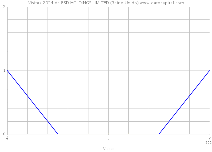 Visitas 2024 de BSD HOLDINGS LIMITED (Reino Unido) 