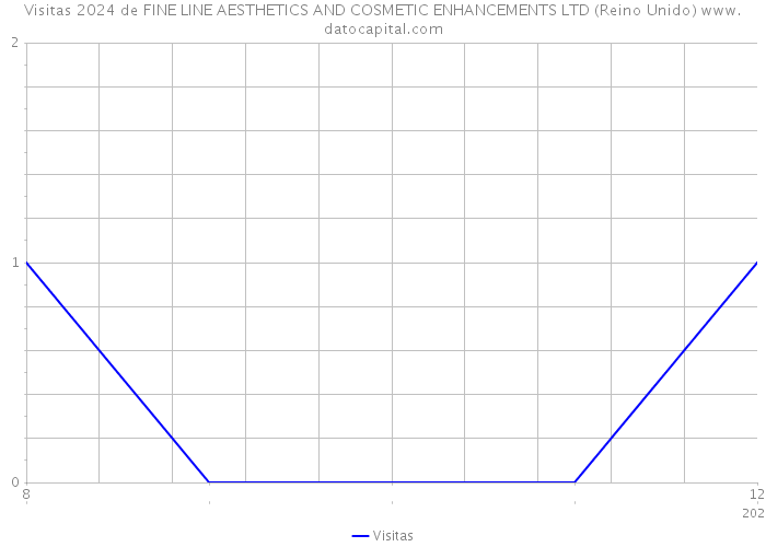 Visitas 2024 de FINE LINE AESTHETICS AND COSMETIC ENHANCEMENTS LTD (Reino Unido) 