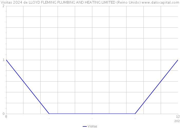 Visitas 2024 de LLOYD FLEMING PLUMBING AND HEATING LIMITED (Reino Unido) 