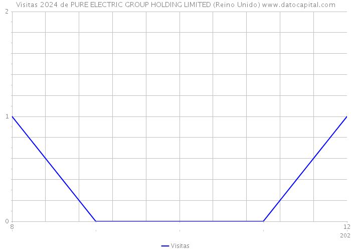 Visitas 2024 de PURE ELECTRIC GROUP HOLDING LIMITED (Reino Unido) 