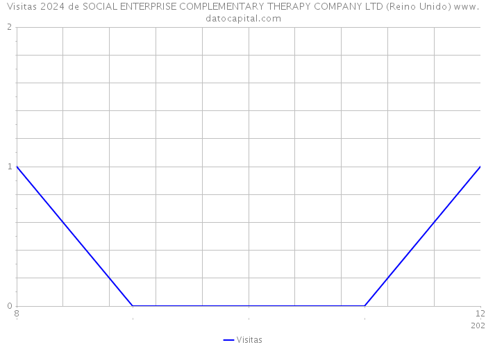 Visitas 2024 de SOCIAL ENTERPRISE COMPLEMENTARY THERAPY COMPANY LTD (Reino Unido) 