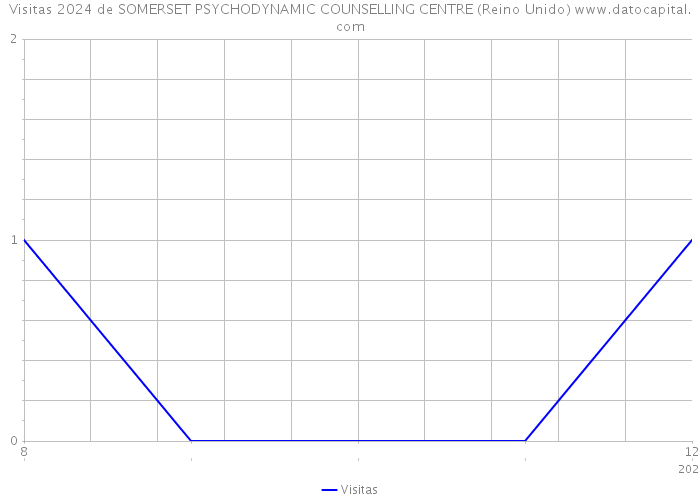 Visitas 2024 de SOMERSET PSYCHODYNAMIC COUNSELLING CENTRE (Reino Unido) 