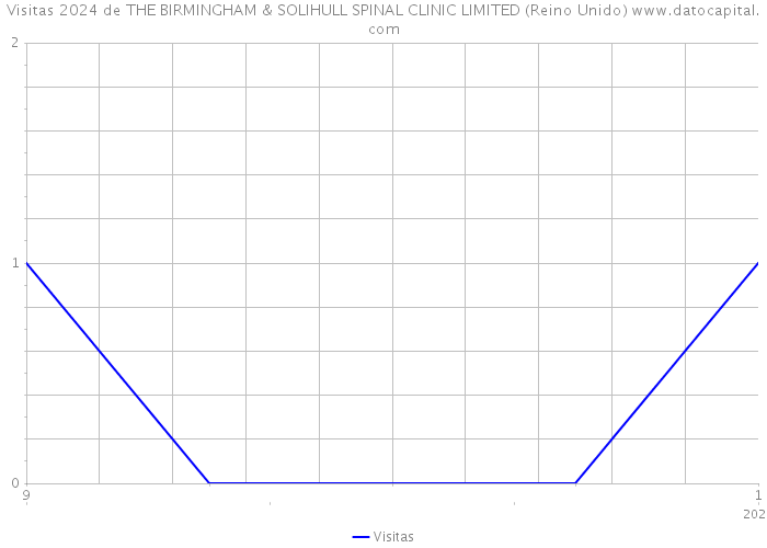 Visitas 2024 de THE BIRMINGHAM & SOLIHULL SPINAL CLINIC LIMITED (Reino Unido) 