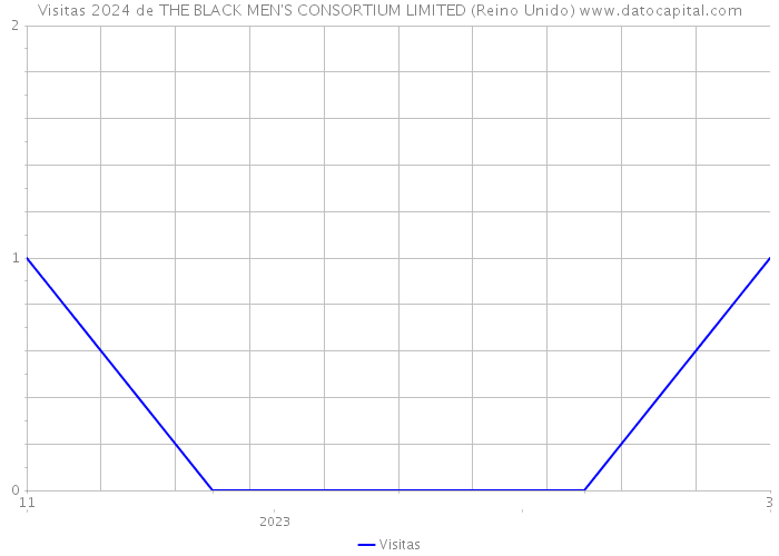 Visitas 2024 de THE BLACK MEN'S CONSORTIUM LIMITED (Reino Unido) 