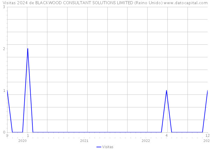 Visitas 2024 de BLACKWOOD CONSULTANT SOLUTIONS LIMITED (Reino Unido) 