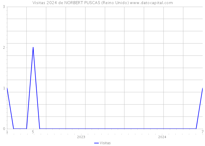 Visitas 2024 de NORBERT PUSCAS (Reino Unido) 