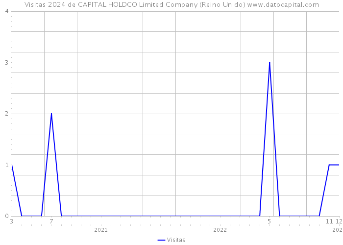 Visitas 2024 de CAPITAL HOLDCO Limited Company (Reino Unido) 
