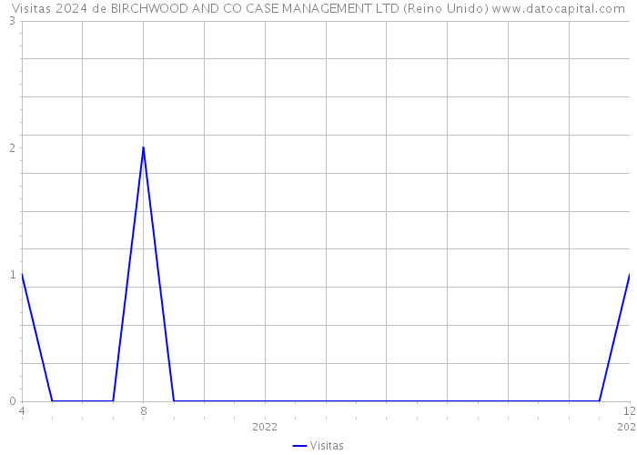 Visitas 2024 de BIRCHWOOD AND CO CASE MANAGEMENT LTD (Reino Unido) 