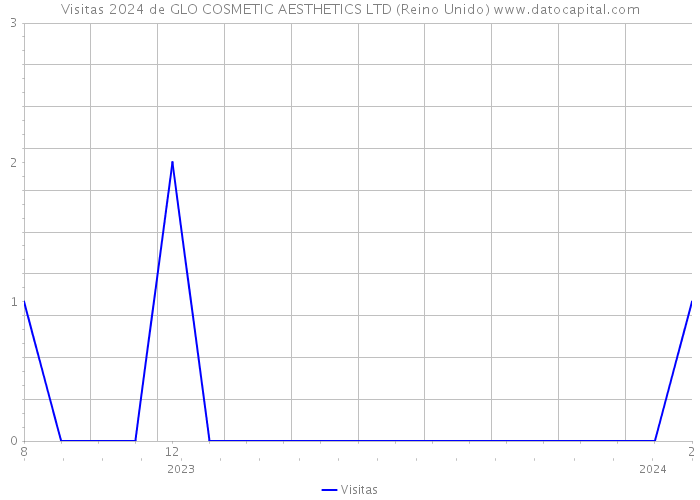 Visitas 2024 de GLO COSMETIC AESTHETICS LTD (Reino Unido) 