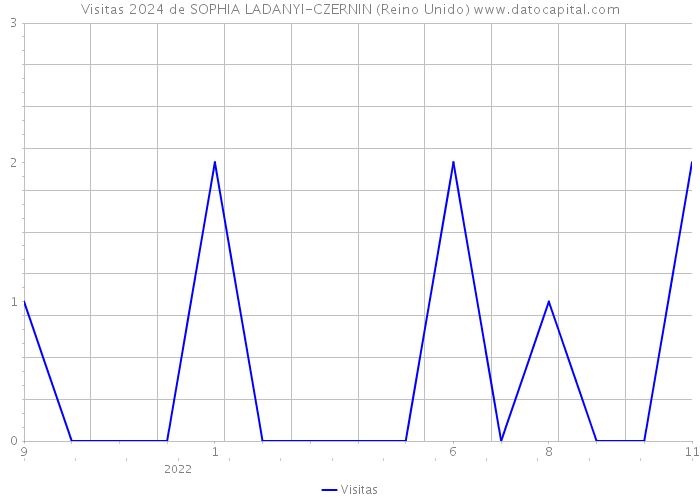 Visitas 2024 de SOPHIA LADANYI-CZERNIN (Reino Unido) 