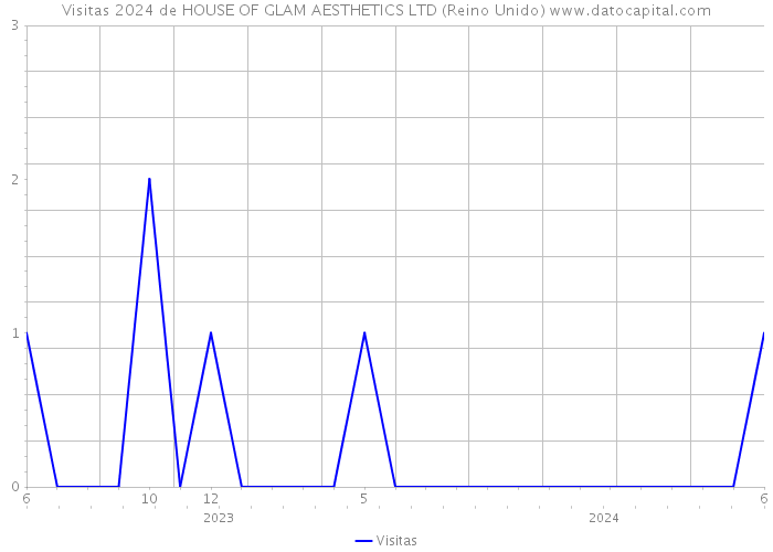 Visitas 2024 de HOUSE OF GLAM AESTHETICS LTD (Reino Unido) 