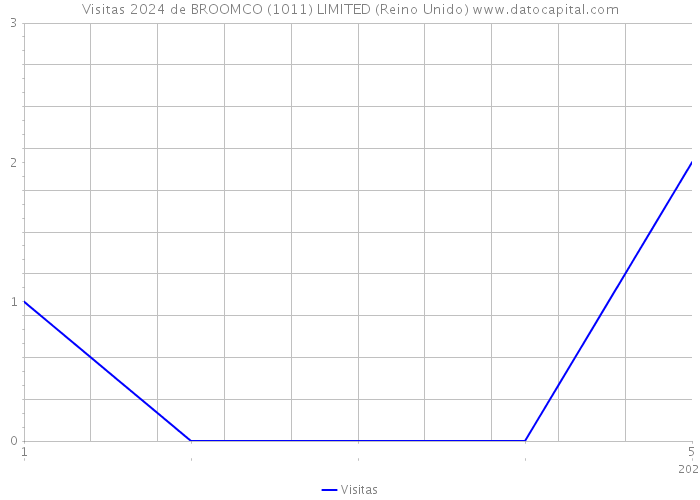 Visitas 2024 de BROOMCO (1011) LIMITED (Reino Unido) 