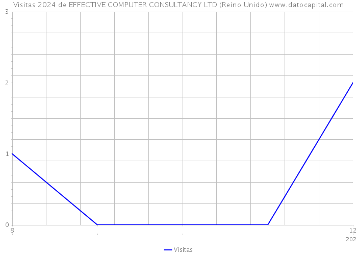 Visitas 2024 de EFFECTIVE COMPUTER CONSULTANCY LTD (Reino Unido) 