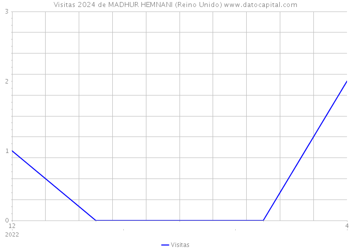 Visitas 2024 de MADHUR HEMNANI (Reino Unido) 