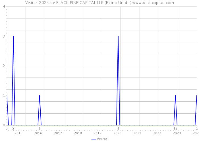 Visitas 2024 de BLACK PINE CAPITAL LLP (Reino Unido) 