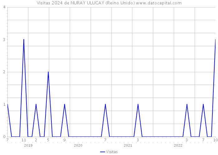 Visitas 2024 de NURAY ULUCAY (Reino Unido) 