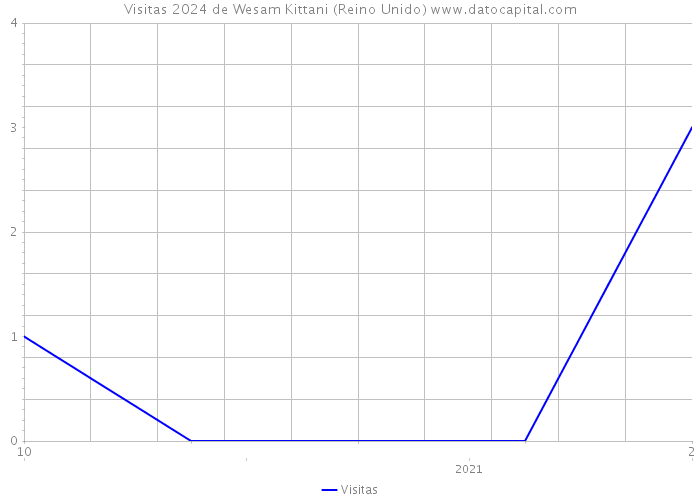 Visitas 2024 de Wesam Kittani (Reino Unido) 