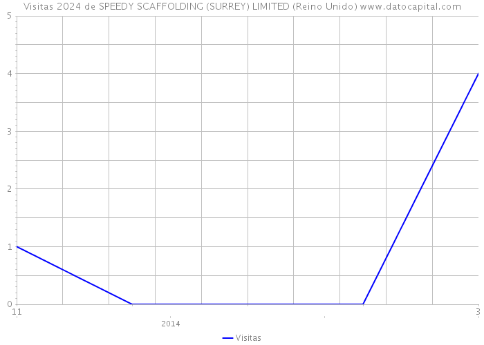 Visitas 2024 de SPEEDY SCAFFOLDING (SURREY) LIMITED (Reino Unido) 