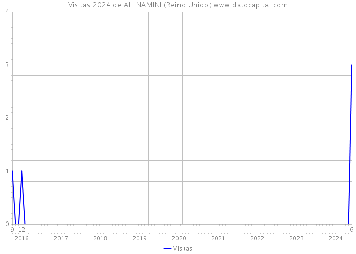 Visitas 2024 de ALI NAMINI (Reino Unido) 