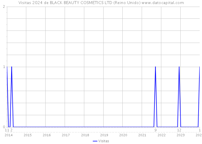 Visitas 2024 de BLACK BEAUTY COSMETICS LTD (Reino Unido) 